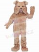 Zurück