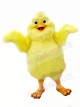 Zurück