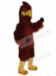 Zurück
