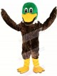 Zurück