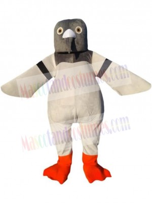 Tauben-Maskottchen-Kostüm für Erwachsene