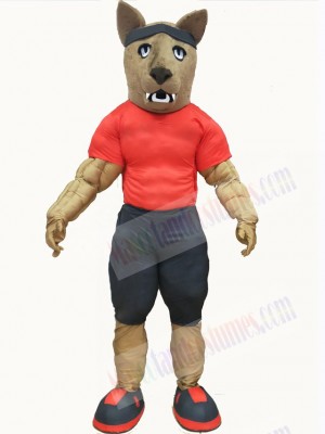 Wolf mascot costume
