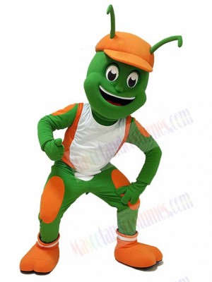 Insect mascot costume