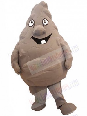 Rock Stone mascot costume