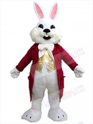 Easter Bunny Rabbit mascot costume