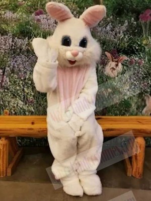 Easter Bunny Rabbit mascot costume