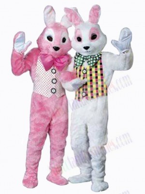 Easter Bunny Rabbit mascot costume
