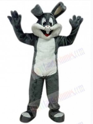 Easter Bunny Rabbit mascot costume