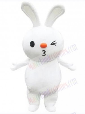 Easter Bunny Rabbit mascot costume