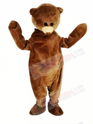 Kostüm als brauner Teddybär-Maskottchen