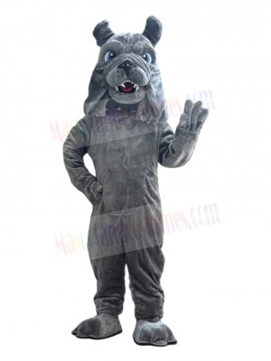 Bulldog mascot costume