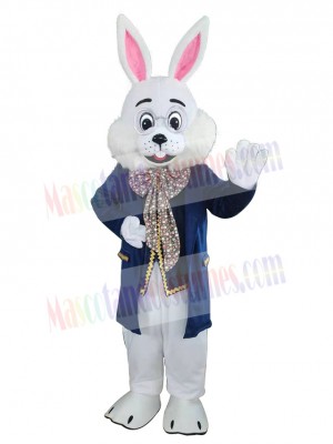 Easter Bunny Rabbit mascot costume