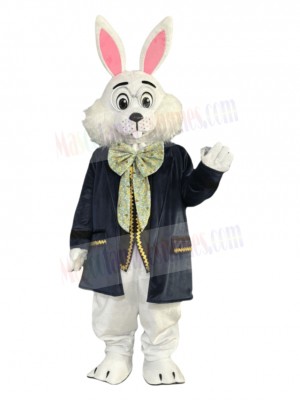 Easter Bunny Rabbit mascot costume