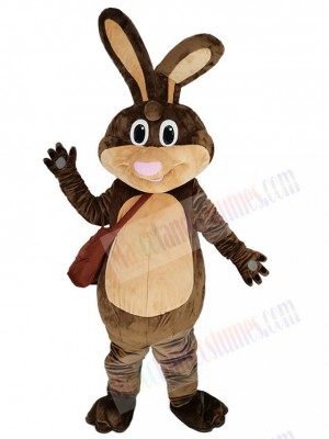 Easter Bunny mascot costume