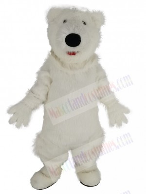 Polar Bear mascot costume
