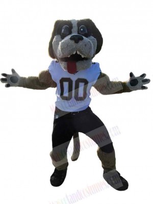 Dog mascot costume