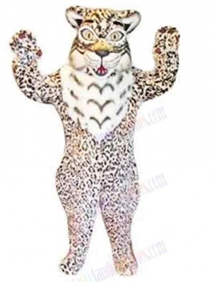 Cat mascot costume