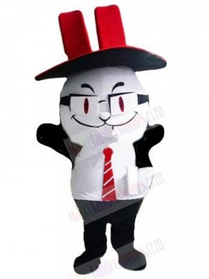 Cat mascot costume