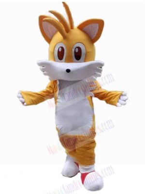 Cat mascot costume