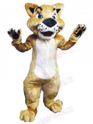 Cat mascot costume