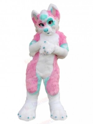 Dog mascot costume