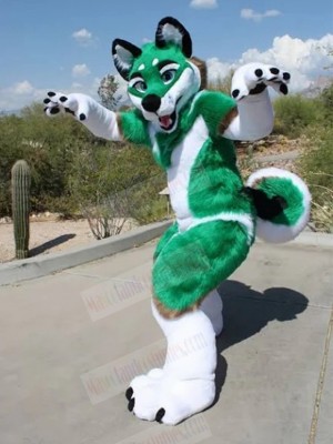 Dog mascot costume