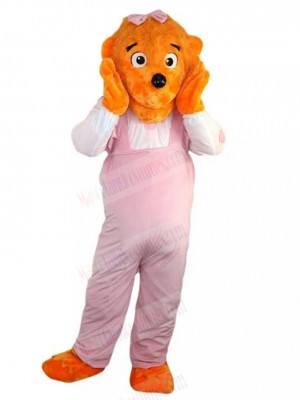 bear mascot costume