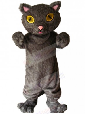 cat mascot costume