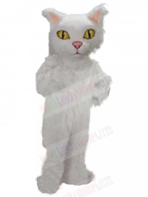 cat mascot costume