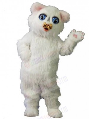 cat mascot costume