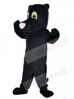Panther mascot costume