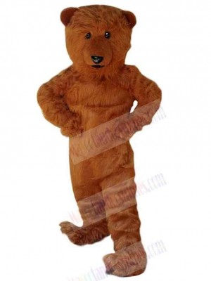Bear mascot costume