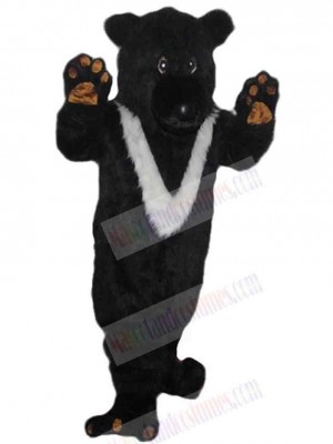 Bear mascot costume