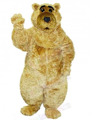 Bear mascot costume