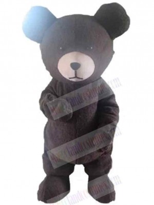 Bear mascot costume