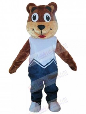 Bear mascot costume