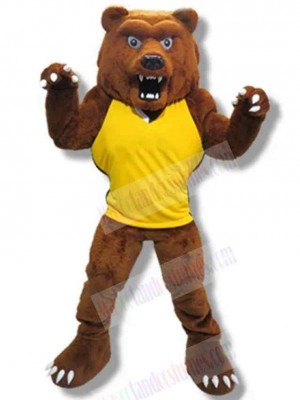 Bear mascot costume