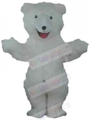 Bear mascot costume