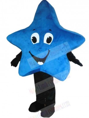 Star mascot costume