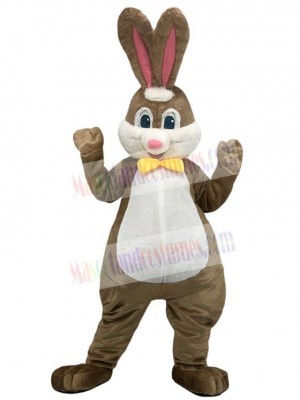 Rabbit mascot costume