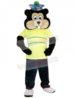 Gopher mascot costume