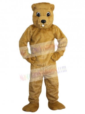 Gopher mascot costume