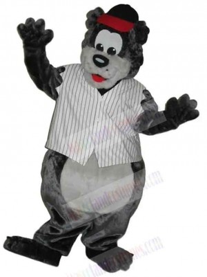 Bear mascot costume