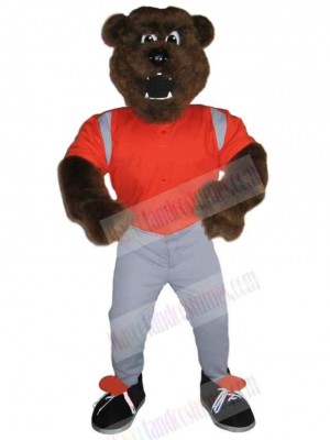 Bear mascot costume