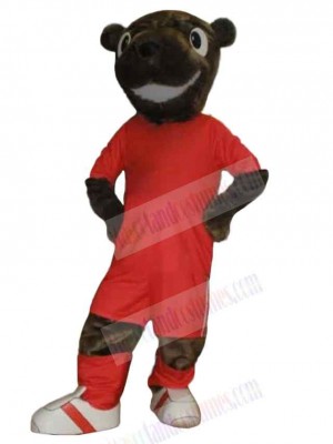 Bear mascot costume