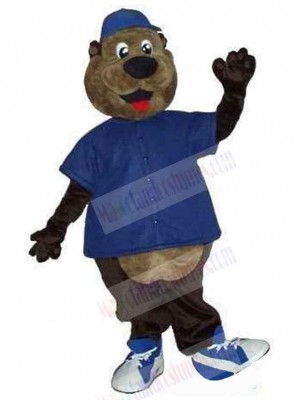Bear mascot costume