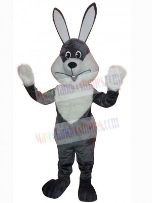 Easter Bunny Rabbit mascot costume