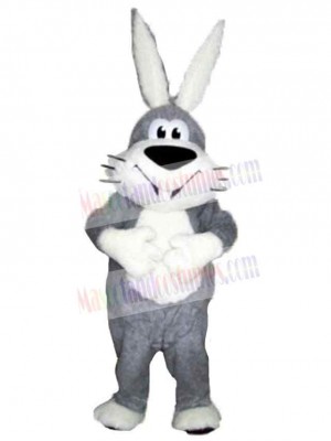 Easter Bunny Rabbit mascot costume