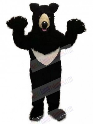 Bear mascot costume