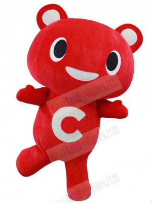 Bear mascot costume